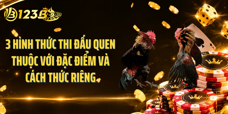 3 hình thức thi đấu quen thuộc với đặc điểm và cách thức riêng